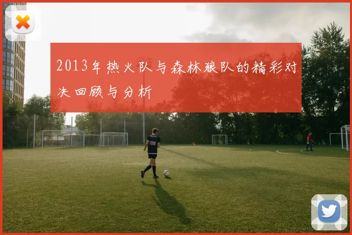 2013年热火队与森林狼队的精彩对决回顾与分析