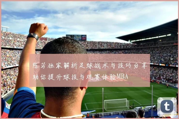 陈芳独家解析足球战术与技巧分享助你提升球技与观赛体验MBA