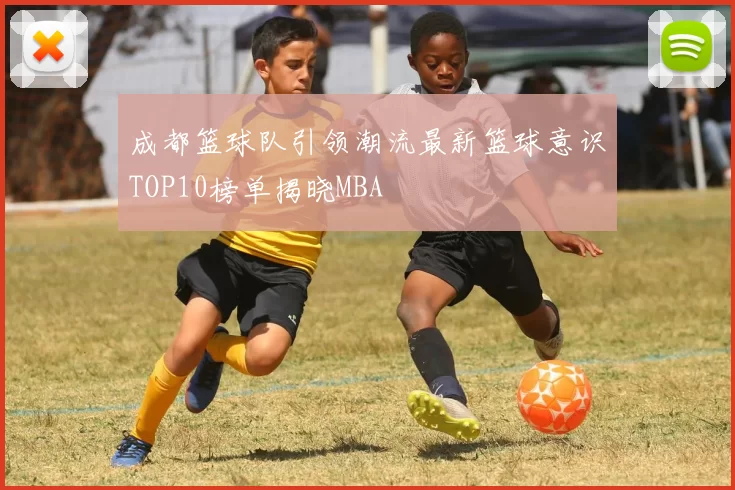 成都篮球队引领潮流最新篮球意识TOP10榜单揭晓MBA